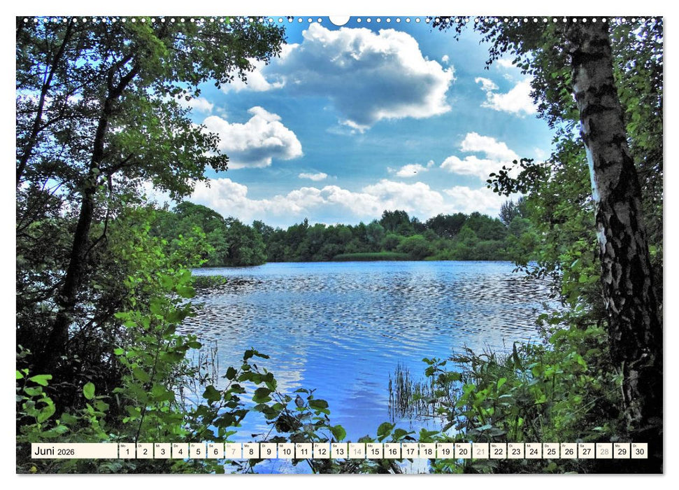 Rotenburg - Die bunte Stadt an der Wümme (CALVENDO Premium Wandkalender 2026)