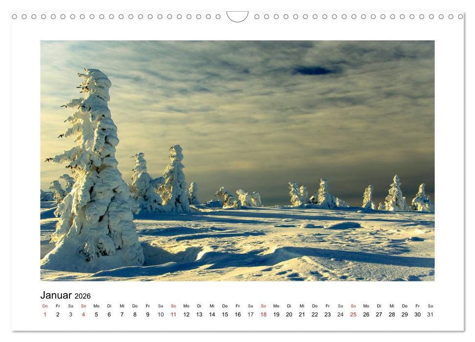 Eindrücke aus der Natur (CALVENDO Wandkalender 2026)