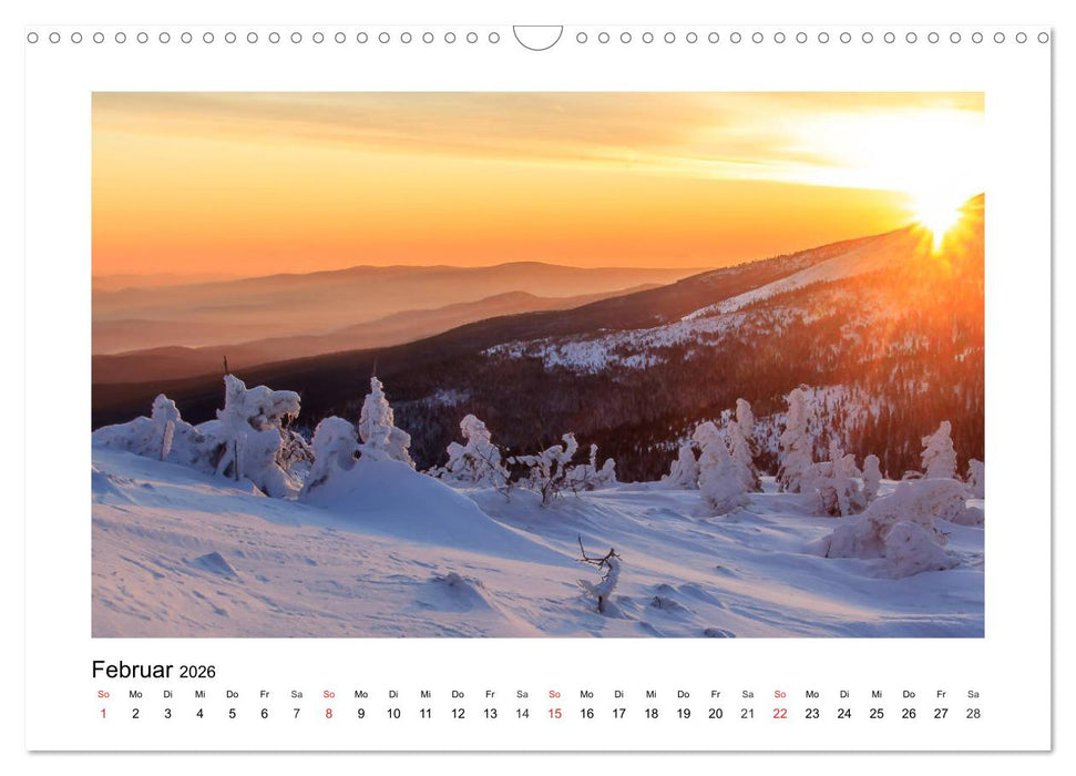 Eindrücke aus der Natur (CALVENDO Wandkalender 2026)