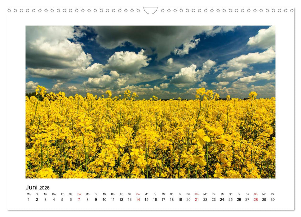 Eindrücke aus der Natur (CALVENDO Wandkalender 2026)