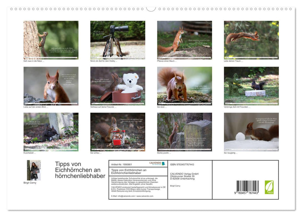 Tipps von Eichhörnchen an Eichhörnchenliebhaber (CALVENDO Premium Wandkalender 2026)