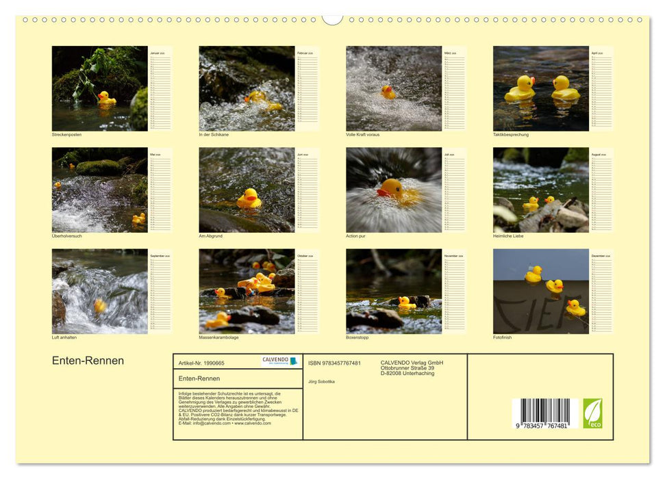 Enten-Rennen (CALVENDO Premium Wandkalender 2026)