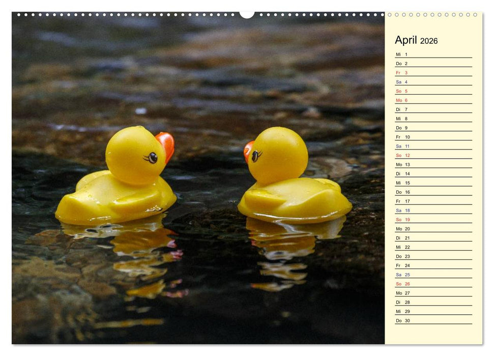 Enten-Rennen (CALVENDO Premium Wandkalender 2026)