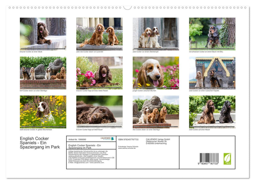 English Cocker Spaniels - Ein Spaziergang im Park (CALVENDO Premium Wandkalender 2026)