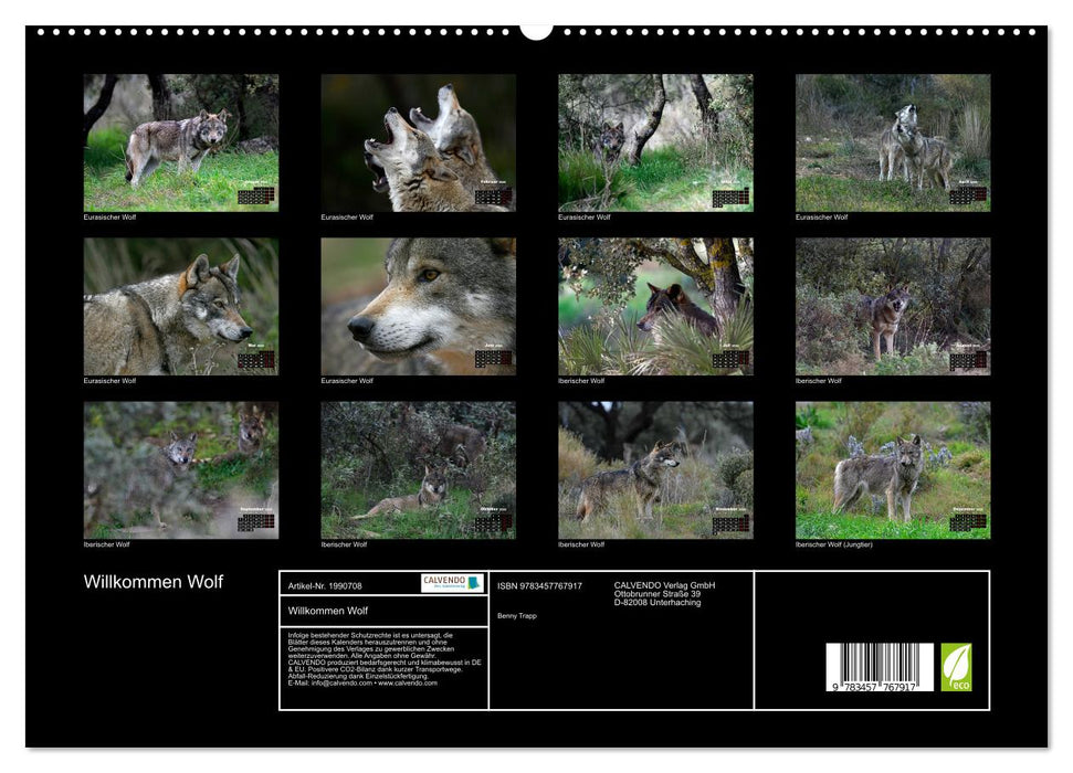 Willkommen Wolf (CALVENDO Premium Wandkalender 2026)