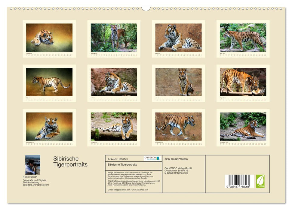 Sibirische Tigerportraits (CALVENDO Premium Wandkalender 2026)