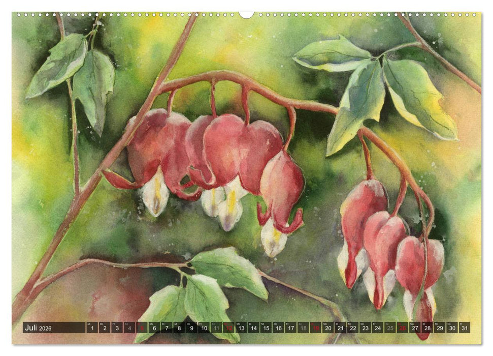 Garten Aquarelle (CALVENDO Premium Wandkalender 2026)