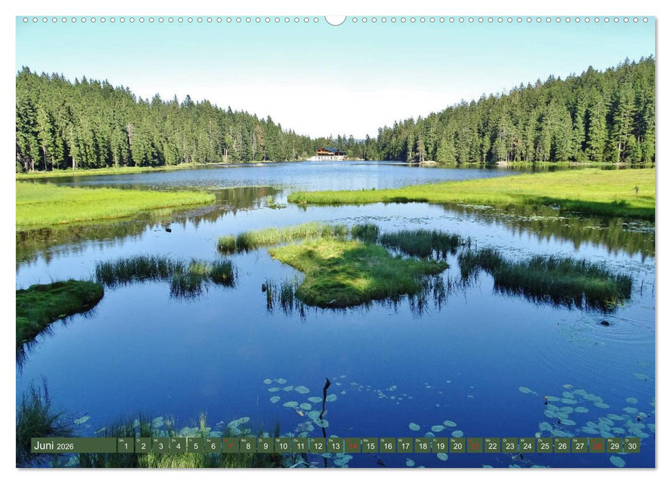 Wandererlebnisse im Bayrischen Wald (CALVENDO Wandkalender 2026)