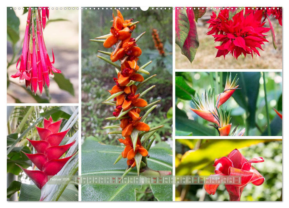 La Réunion - Bergweh ® (CALVENDO Premium Wandkalender 2026)