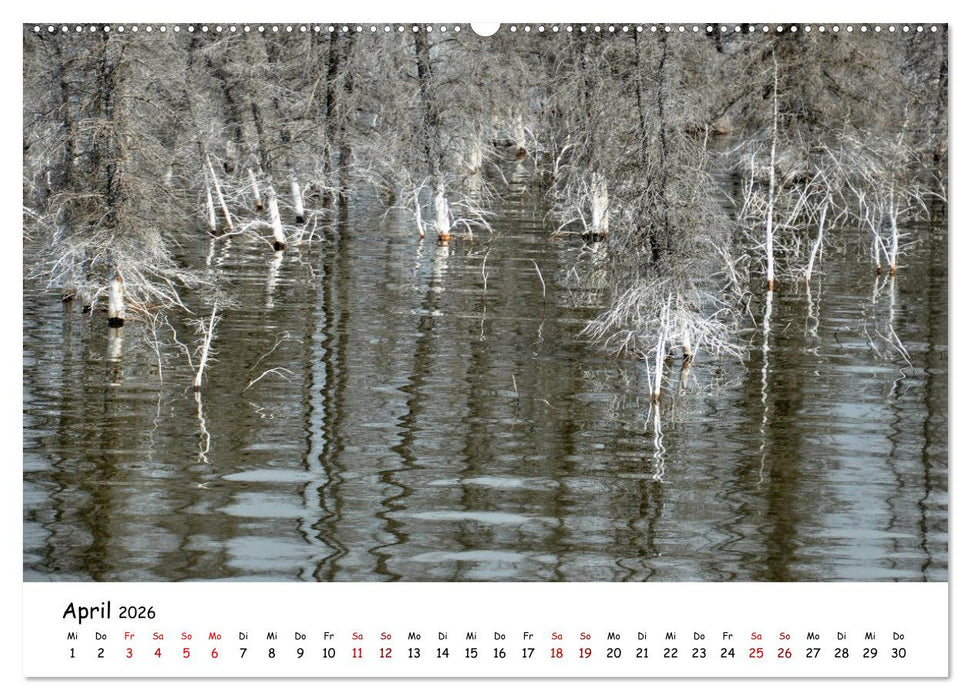 Unendlichkeit in Alaska und Yukon (CALVENDO Premium Wandkalender 2026)