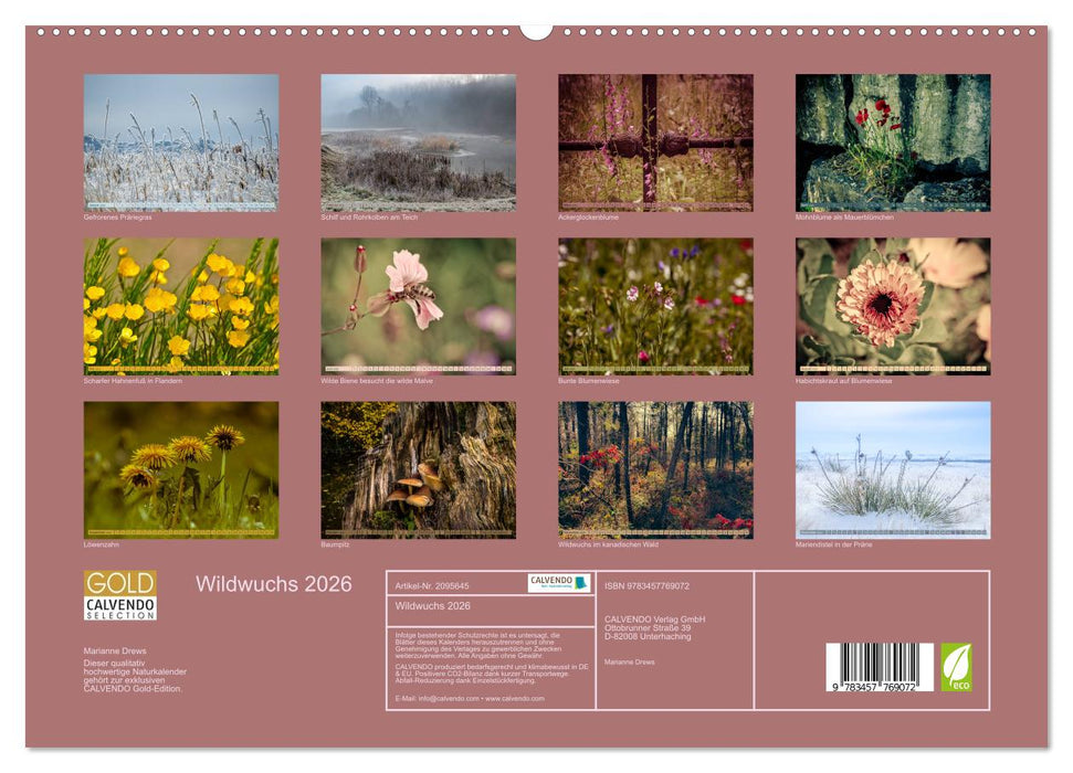 Wildwuchs 2026 (CALVENDO Premium Wandkalender 2026)