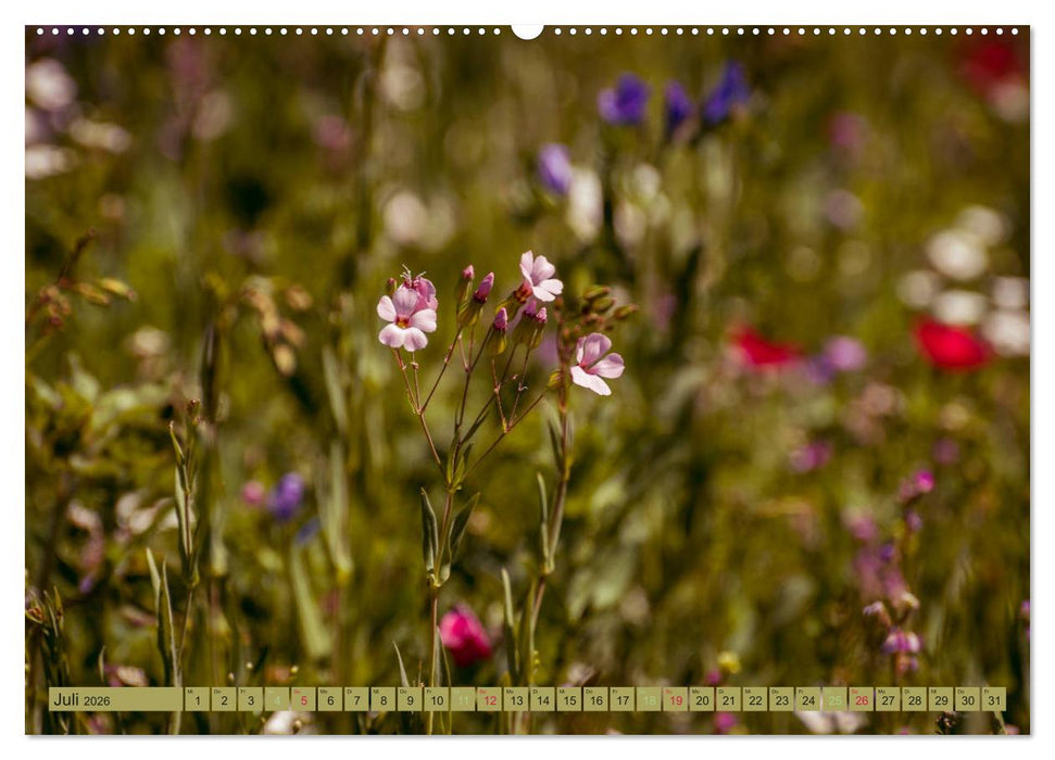 Wildwuchs 2026 (CALVENDO Premium Wandkalender 2026)