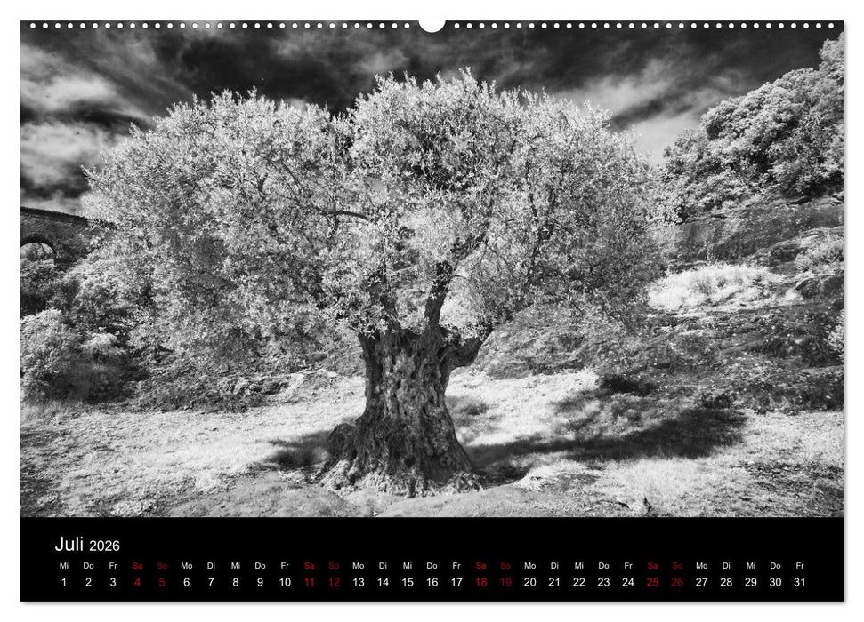 Märchenhaftes Frankreich (CALVENDO Premium Wandkalender 2026)