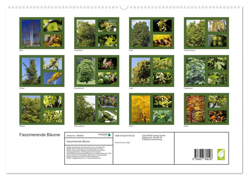 Faszinierende Bäume (CALVENDO Premium Wandkalender 2026)