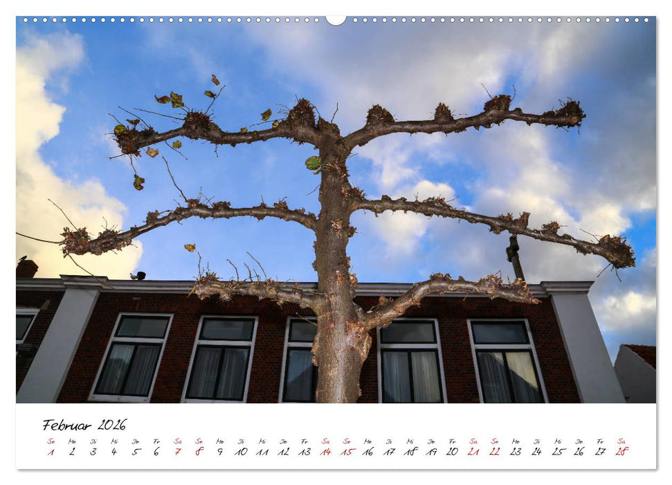 Das Seebad Domburg (CALVENDO Premium Wandkalender 2026)