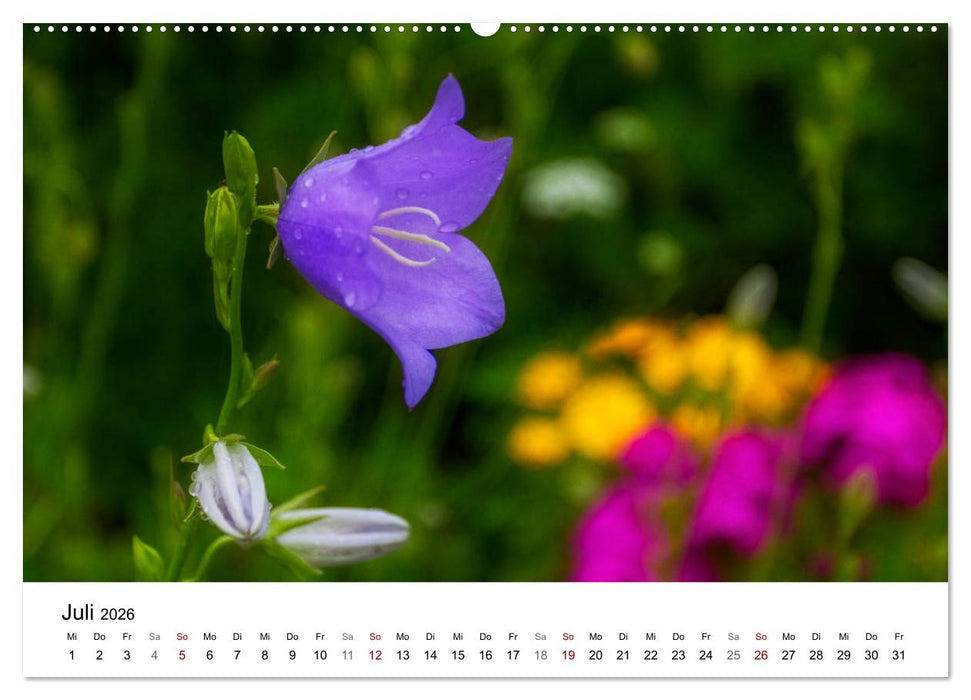 Klosterinsel Reichenau - UNESCO-Welterbe am Bodensee (CALVENDO Premium Wandkalender 2026)