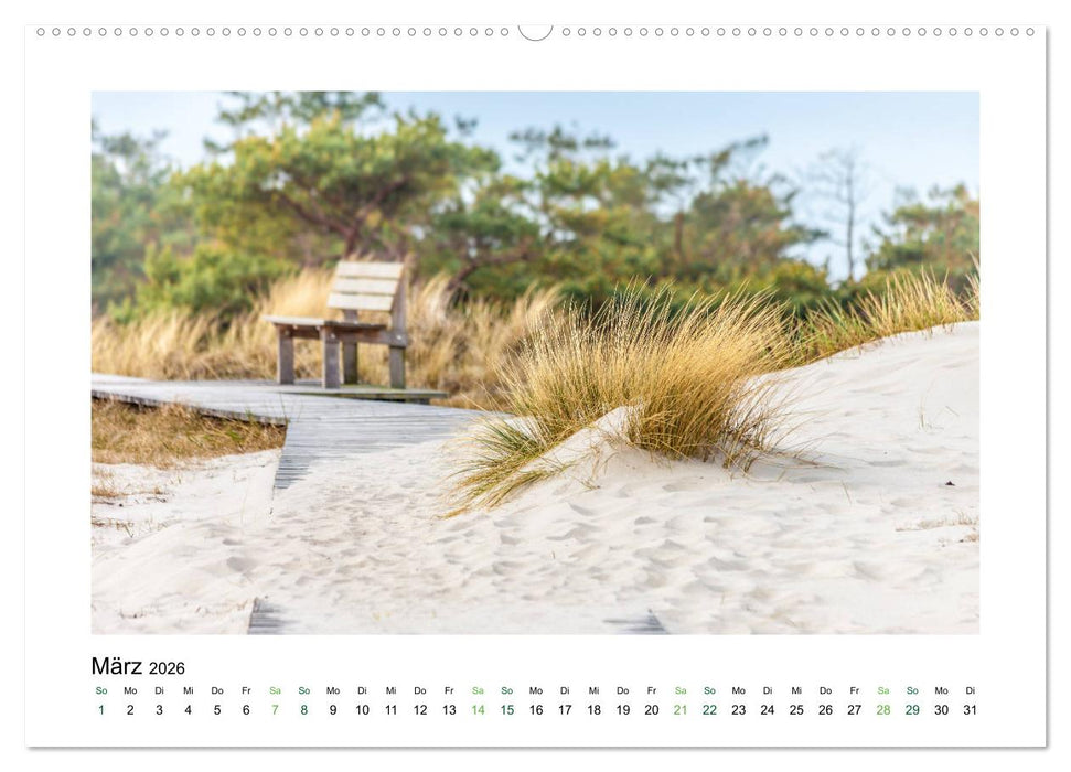 Stille Oasen (CALVENDO Premium Wandkalender 2026)