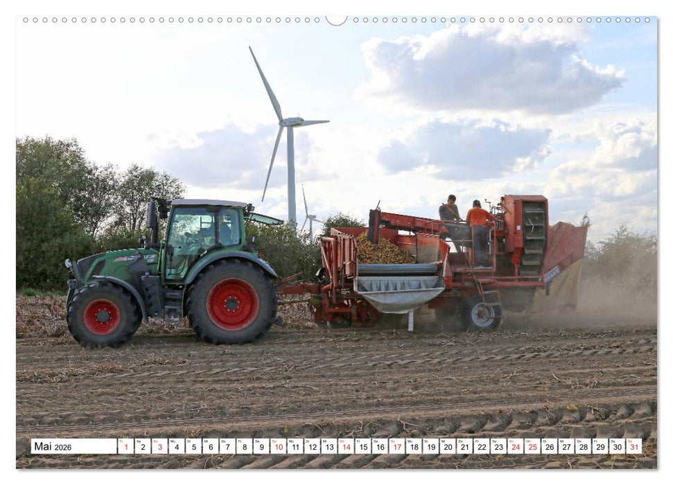 Kartoffel-Ernte - hautnah erleben (CALVENDO Wandkalender 2026)