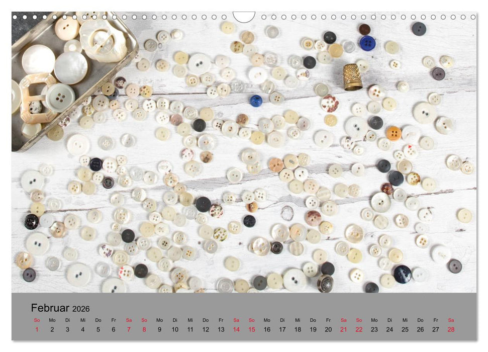 Die Art der Knöpfe (CALVENDO Wandkalender 2026)
