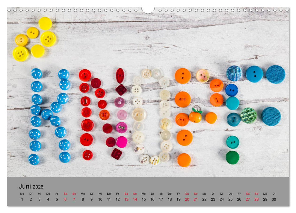 Die Art der Knöpfe (CALVENDO Wandkalender 2026)