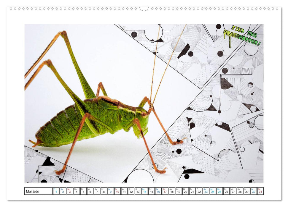 Graffiti trifft auf Fotografie (CALVENDO Premium Wandkalender 2026)