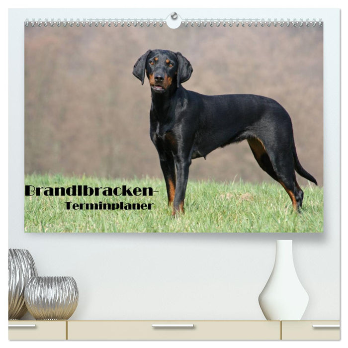 Der Brandlbracken-Terminplaner (CALVENDO Premium Wandkalender 2026)