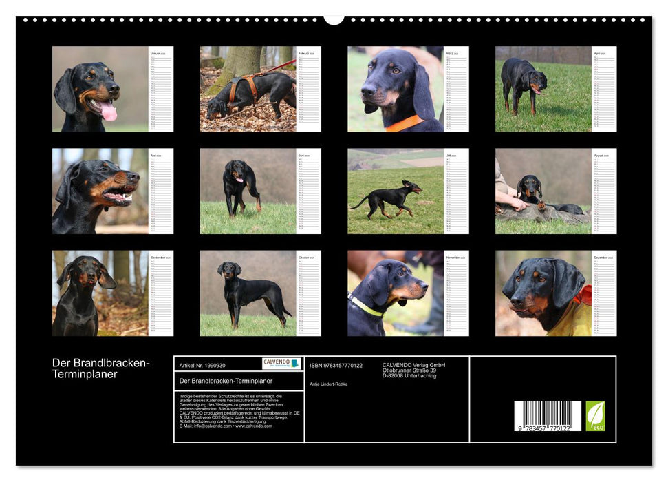 Der Brandlbracken-Terminplaner (CALVENDO Premium Wandkalender 2026)