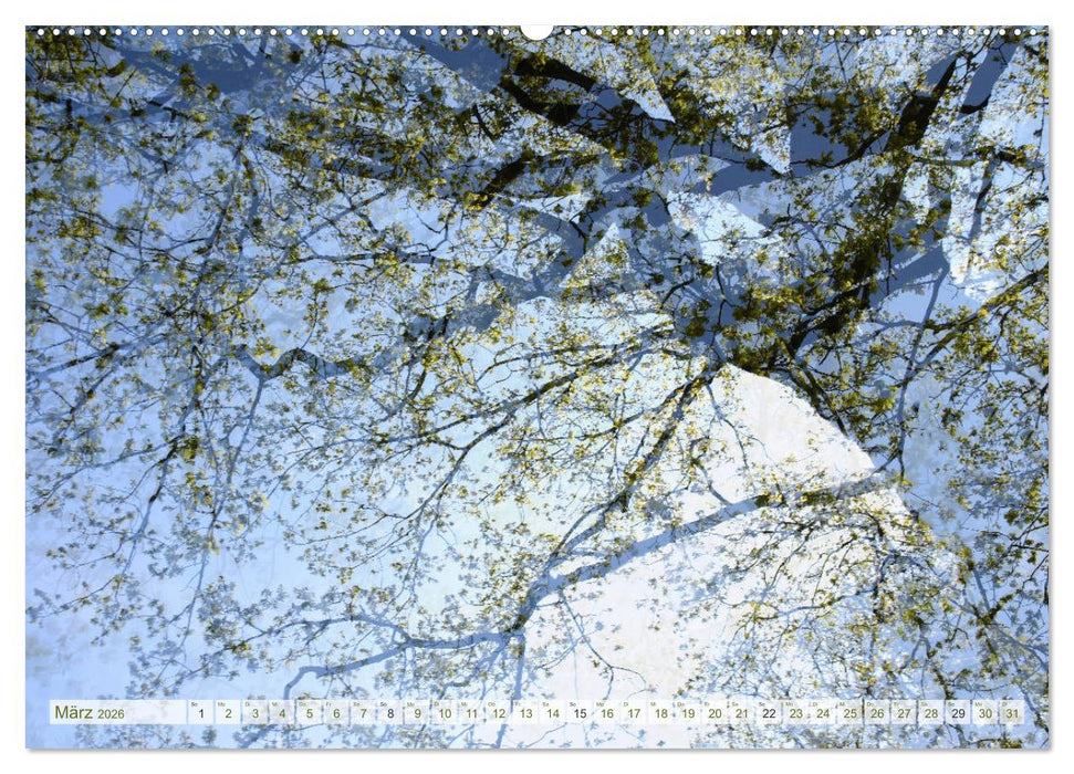 Vielfalt der Bäume - variety of trees (CALVENDO Wandkalender 2026)