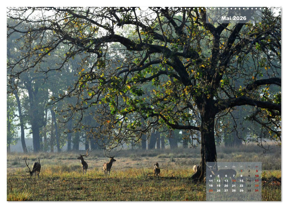 Wilde Tiere Indiens (CALVENDO Premium Wandkalender 2026)