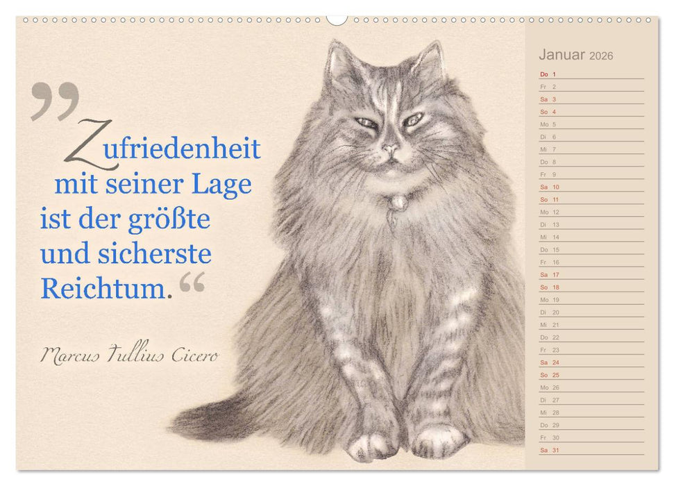 Von Katzen lernen (CALVENDO Premium Wandkalender 2026)