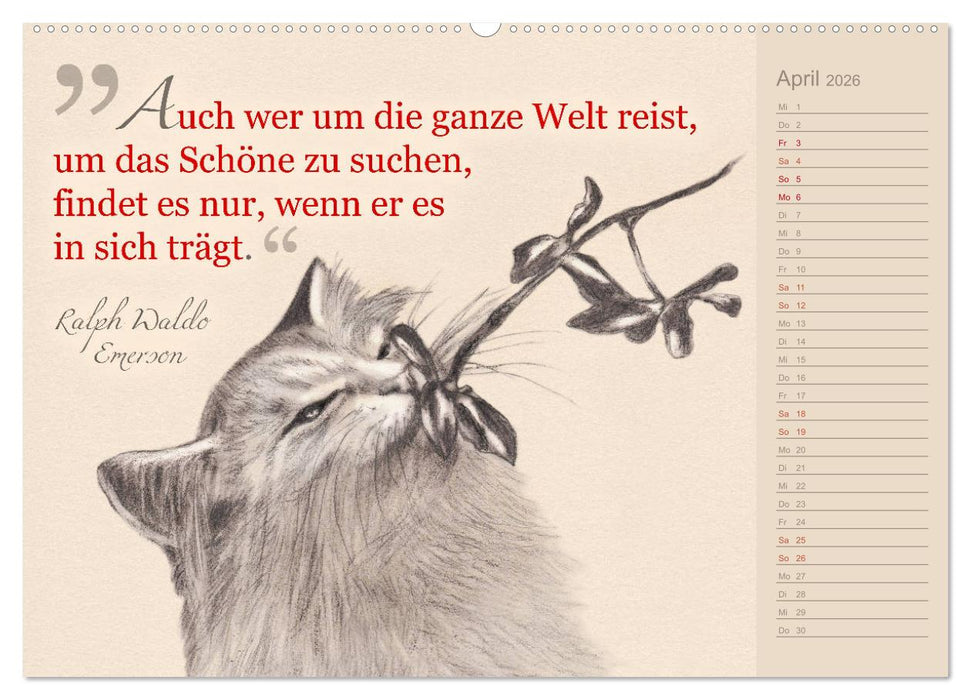 Von Katzen lernen (CALVENDO Premium Wandkalender 2026)
