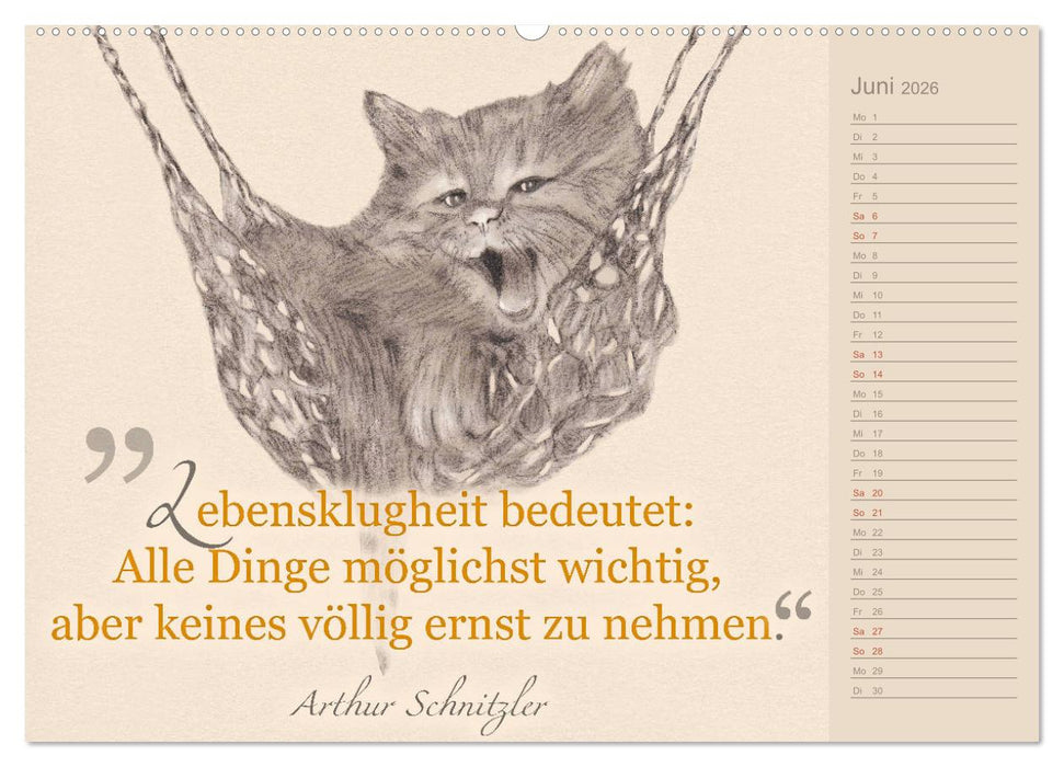 Von Katzen lernen (CALVENDO Premium Wandkalender 2026)