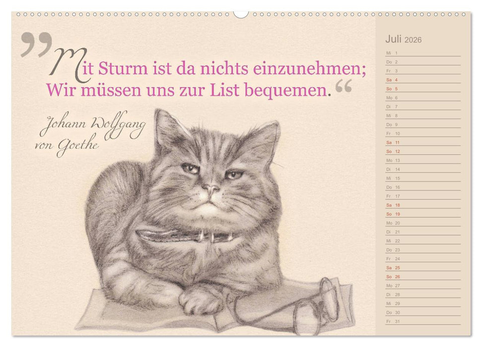 Von Katzen lernen (CALVENDO Premium Wandkalender 2026)