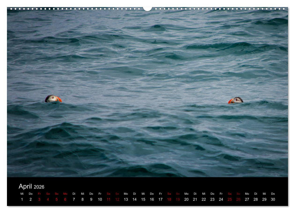 Island - Unberührte Landschaften (CALVENDO Premium Wandkalender 2026)