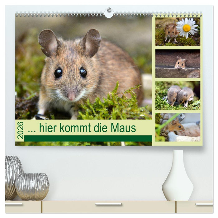 ... hier kommt die Maus ... (CALVENDO Premium Wandkalender 2026)