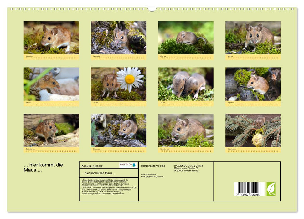 ... hier kommt die Maus ... (CALVENDO Premium Wandkalender 2026)
