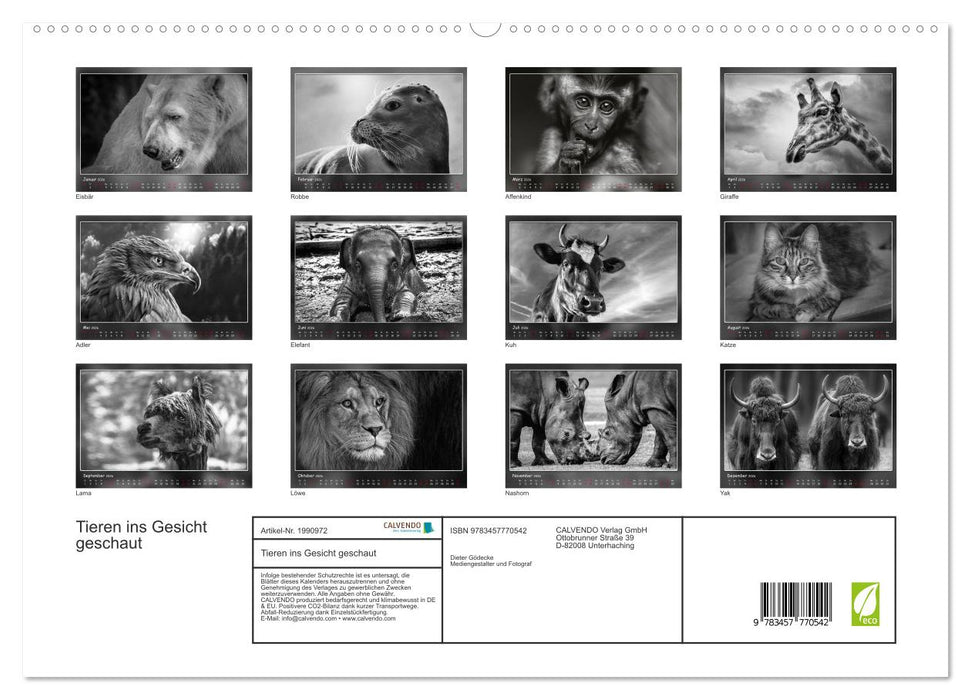 Tieren ins Gesicht geschaut (CALVENDO Premium Wandkalender 2026)