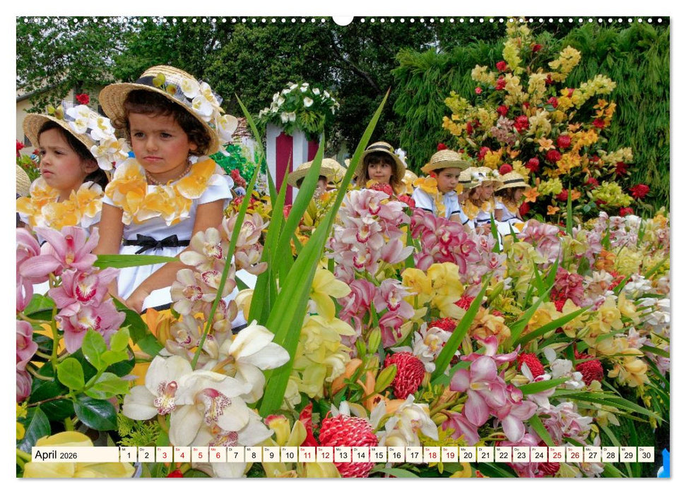 Blumenfest auf Madeira (CALVENDO Premium Wandkalender 2026)