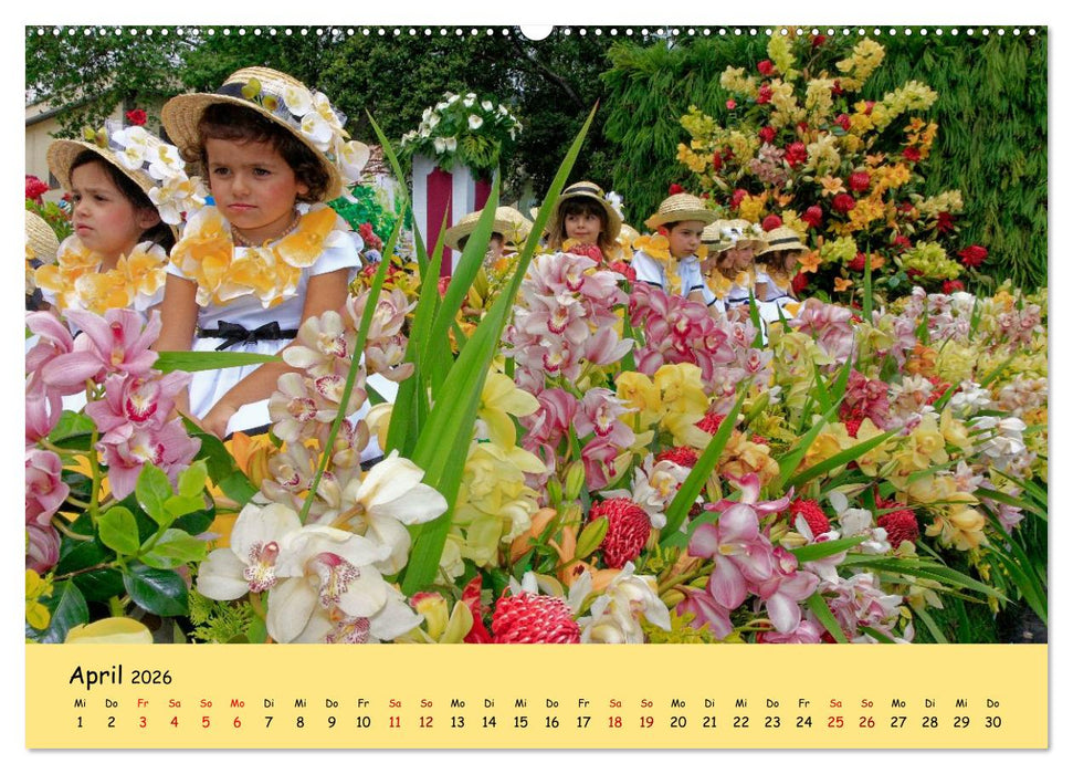 Blumenfest auf Madeira (CALVENDO Premium Wandkalender 2026)