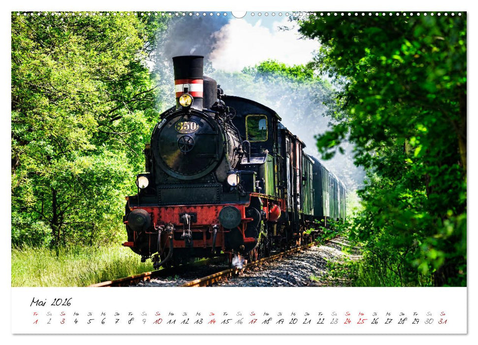 Unser buntes Bergedorf (CALVENDO Premium Wandkalender 2026)