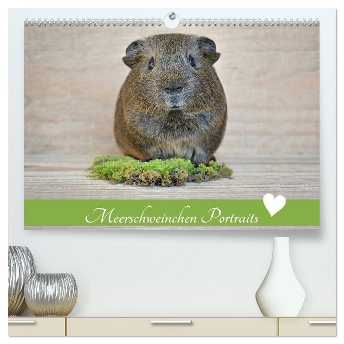 Meerschweinchen Portraits (CALVENDO Premium Wandkalender 2026)
