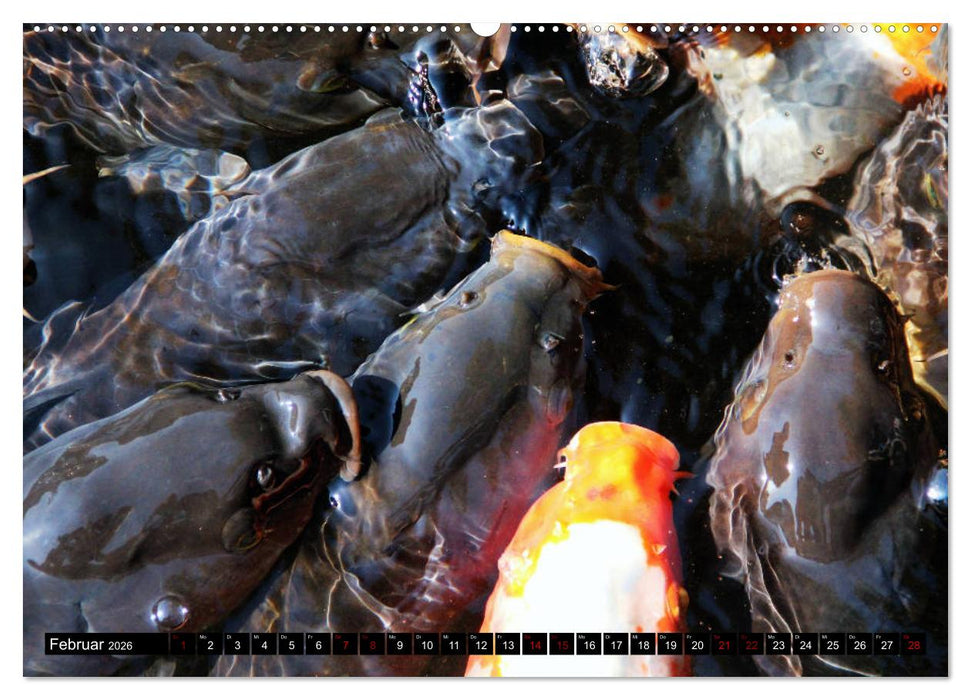 Japan - Details (CALVENDO Premium Wandkalender 2026)