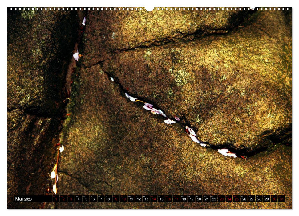 Japan - Details (CALVENDO Premium Wandkalender 2026)