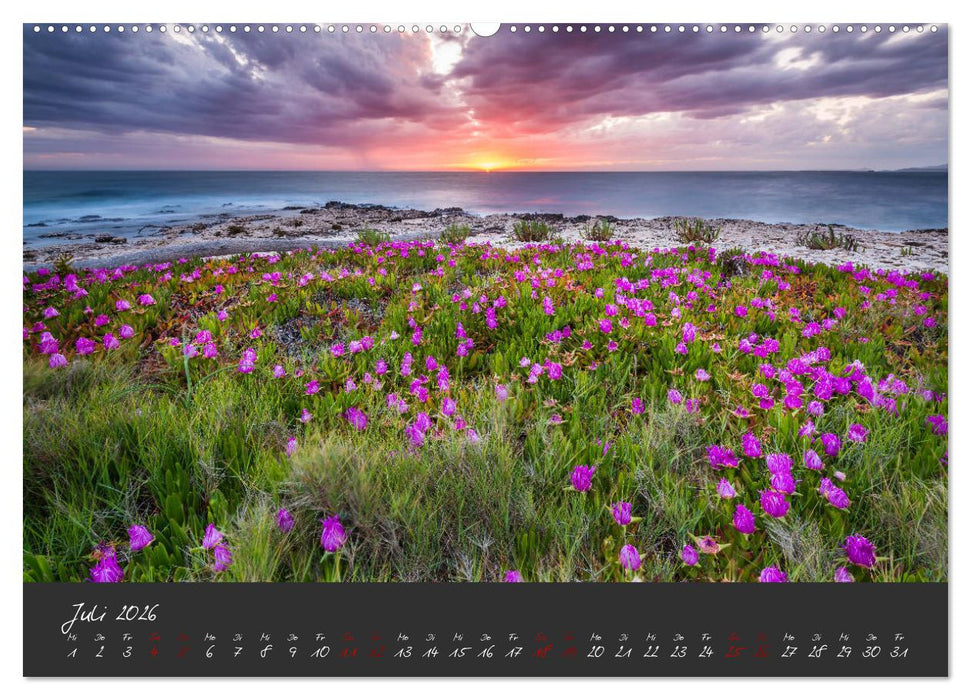 Magische Landschaften unserer Erde (CALVENDO Premium Wandkalender 2026)