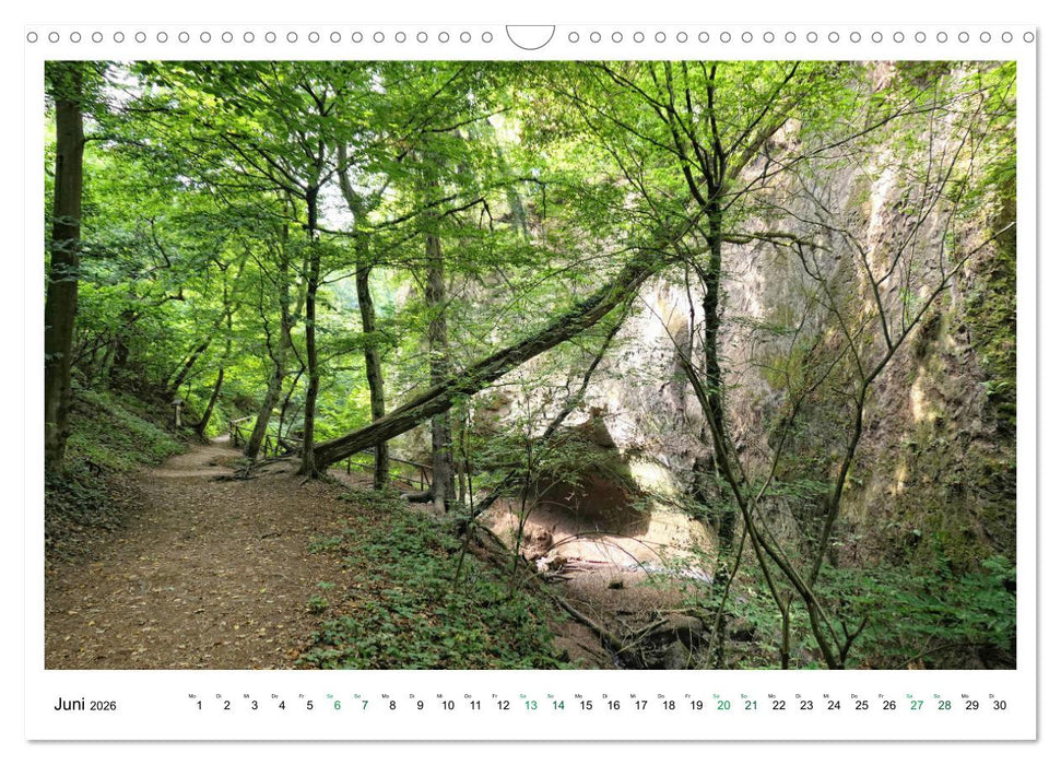 Die Eifel - Vulkane, Heidekraut und sanfte Hügel (CALVENDO Wandkalender 2026)