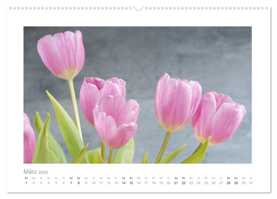 Blumen zart und schön (CALVENDO Premium Wandkalender 2026)