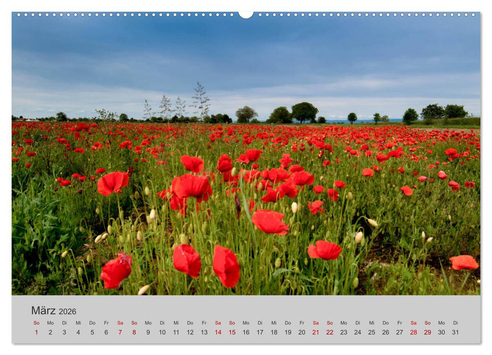 Die Schönheit der Bretagne (CALVENDO Premium Wandkalender 2026)