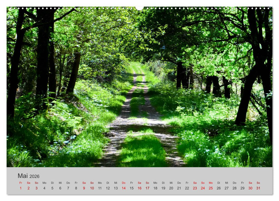 Die Schönheit der Bretagne (CALVENDO Premium Wandkalender 2026)