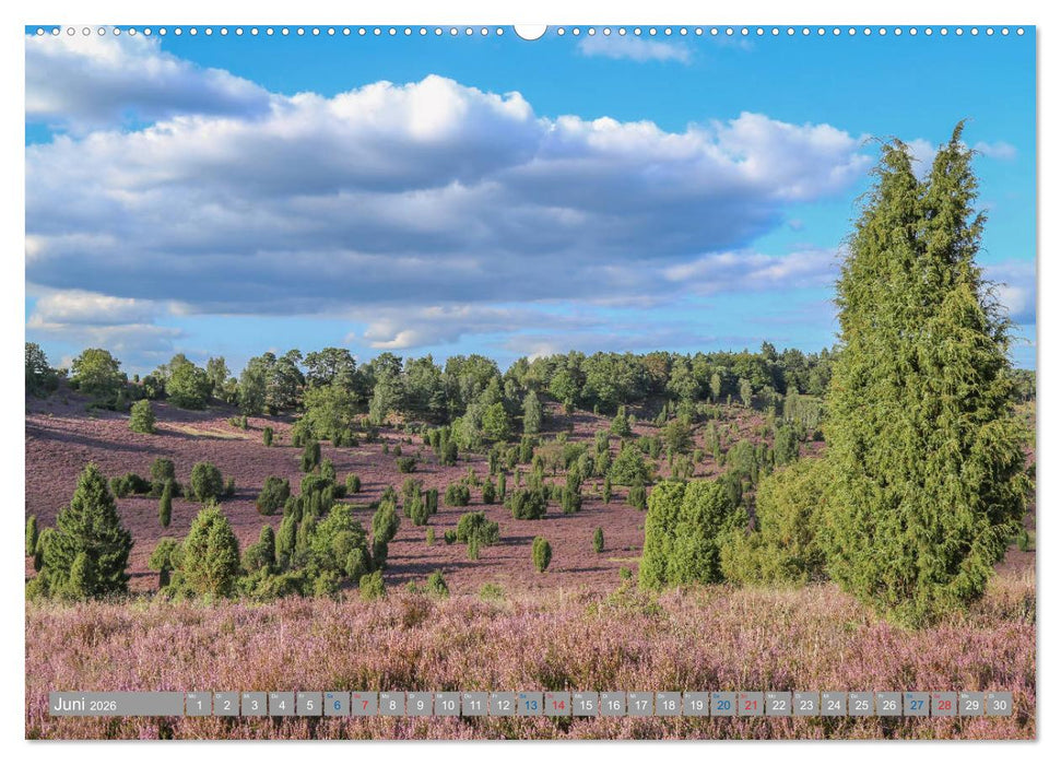 Lüneburger Heide - Faszinierend schön (CALVENDO Premium Wandkalender 2026)