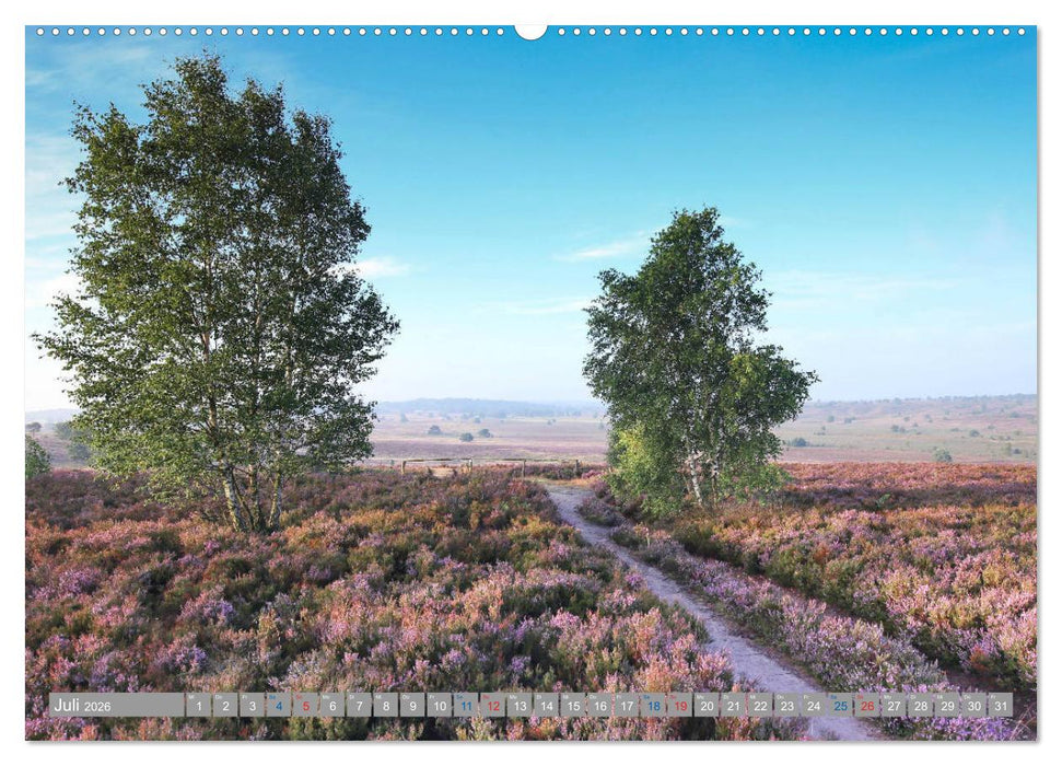 Lüneburger Heide - Faszinierend schön (CALVENDO Premium Wandkalender 2026)
